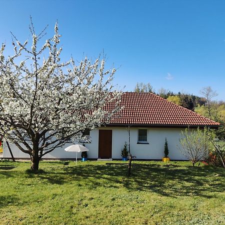 Apartament Izerskie Gaje Wojcieszyce 外观 照片
