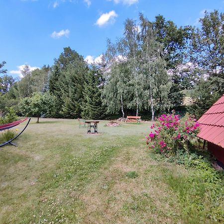 Apartament Izerskie Gaje Wojcieszyce 外观 照片