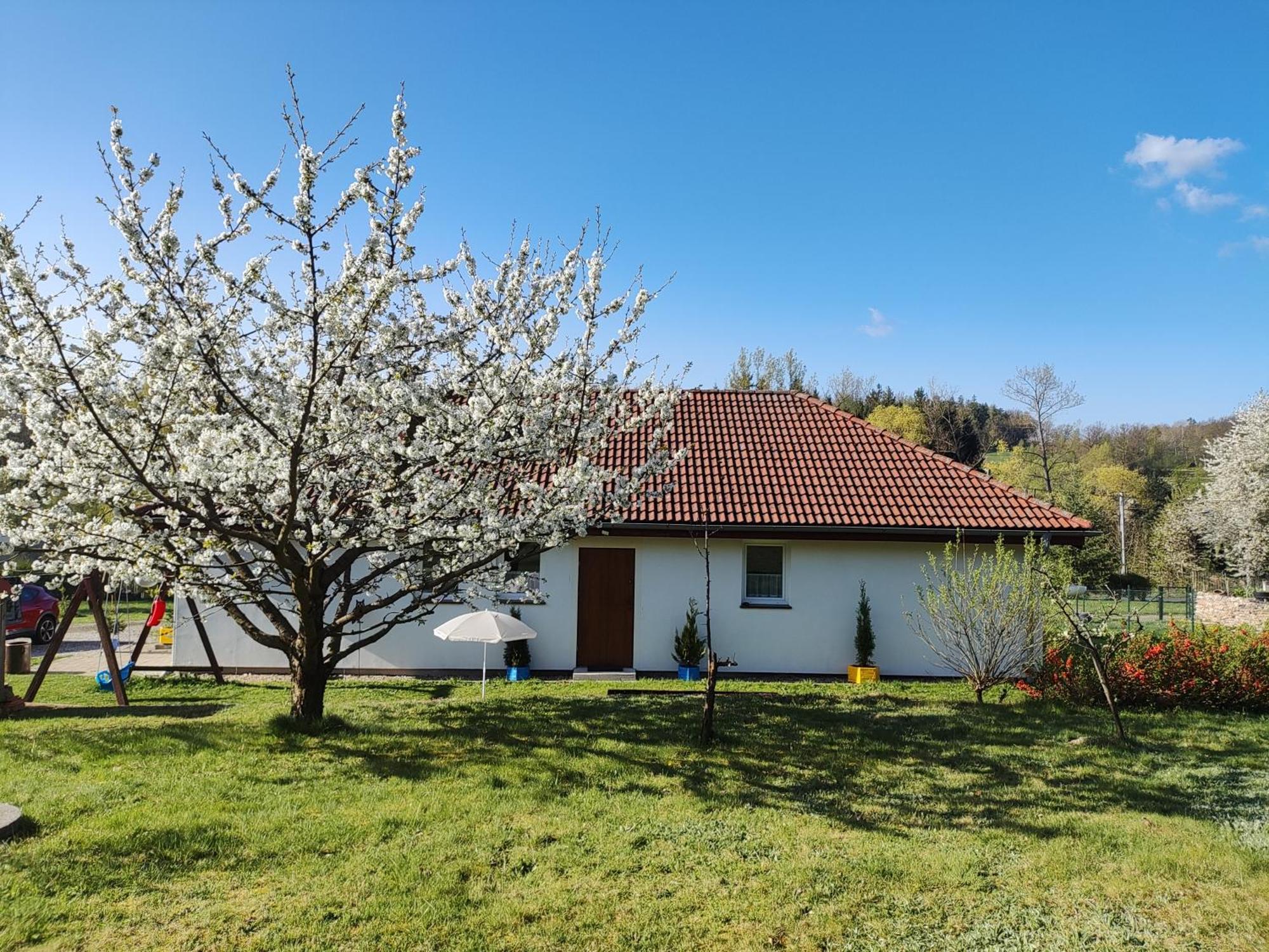 Apartament Izerskie Gaje Wojcieszyce 外观 照片