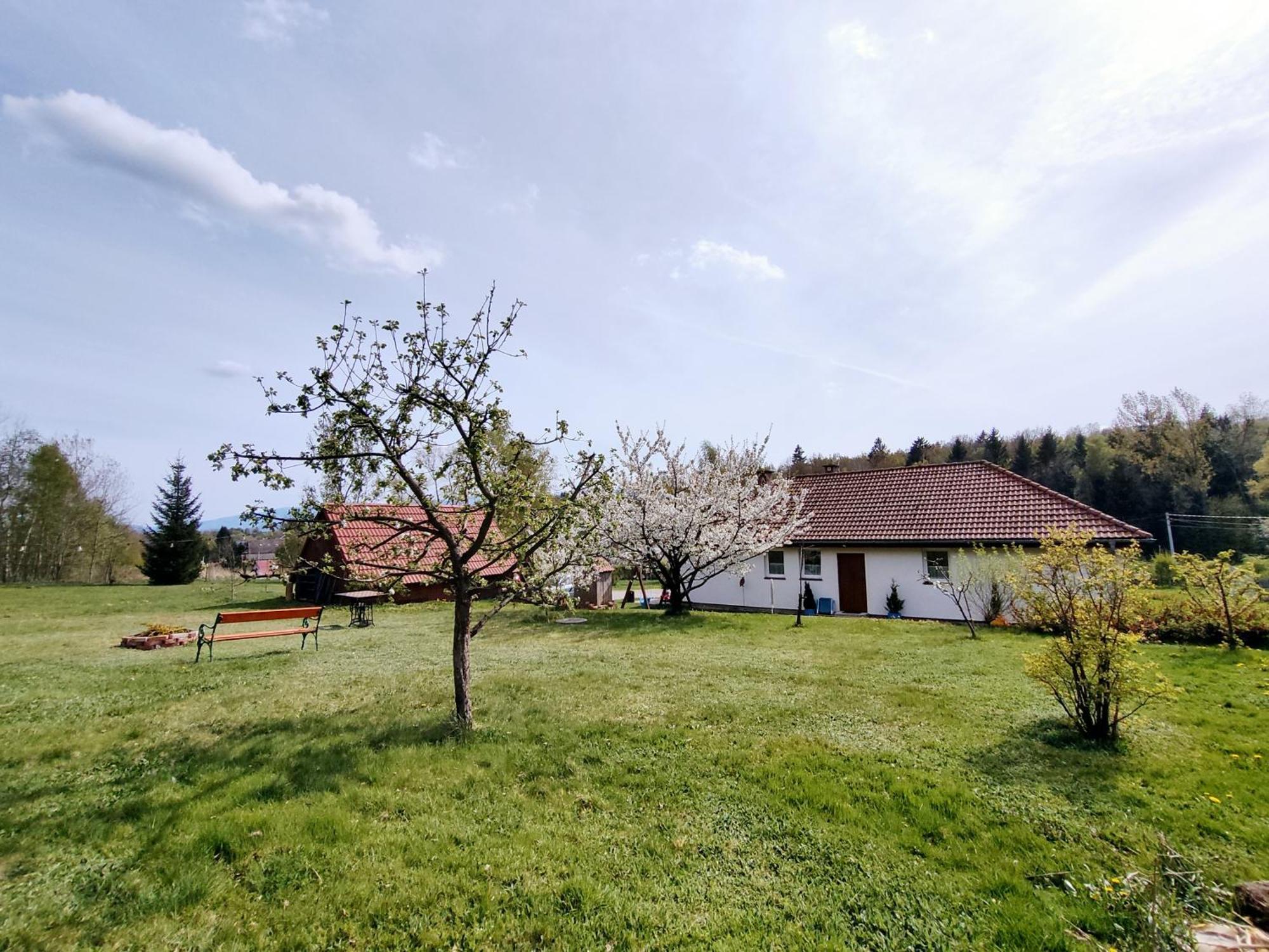 Apartament Izerskie Gaje Wojcieszyce 外观 照片